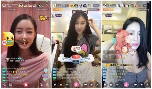 娱乐吃瓜酱毕业工作